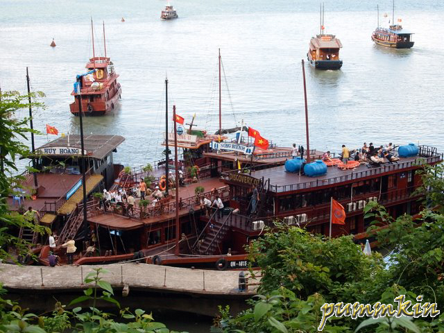 P8140342.JPG