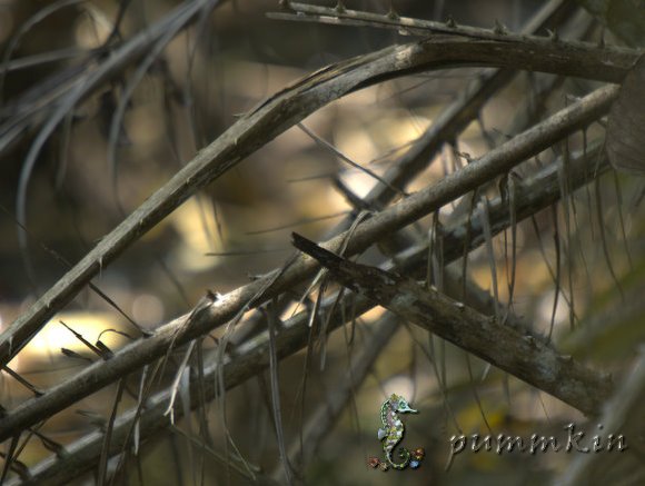 wpid-S150381-2011-10-30-15-432.jpg